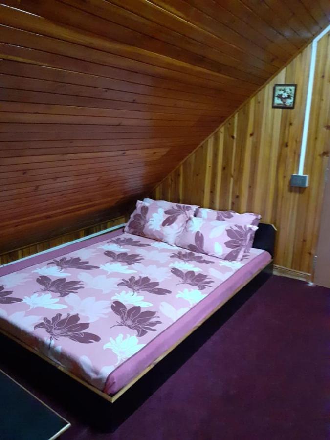 Saino Adkd Homestay Darjeeling 大吉岭 外观 照片